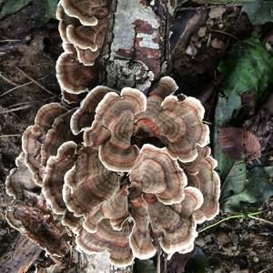 Meet your Posher, Margaret